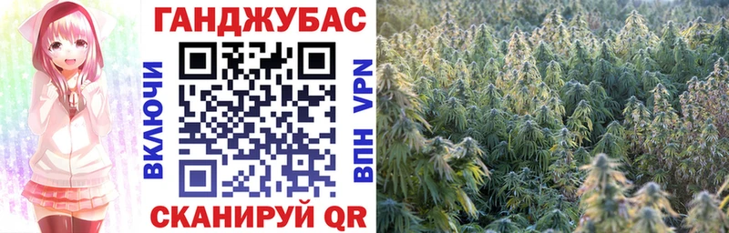 Купить закладки  Калининск  Бошки Шишки конопля 